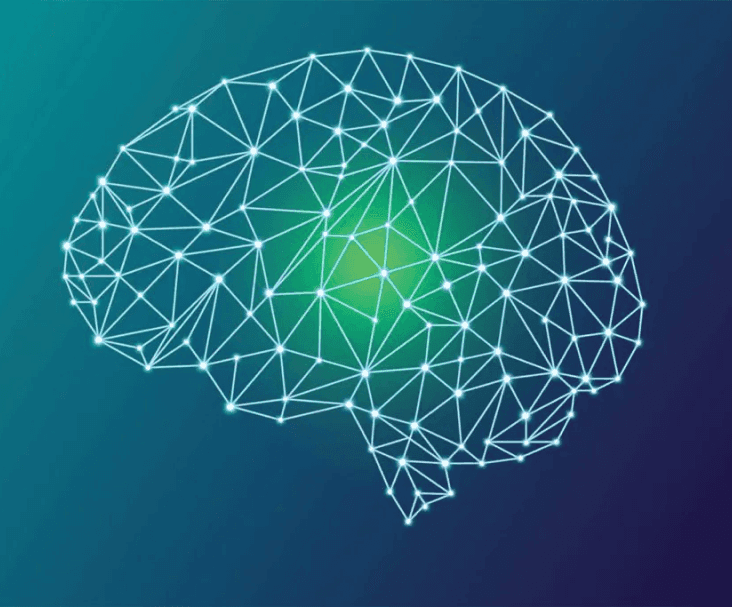 Brain while taking the cannabis sativa plant illustration